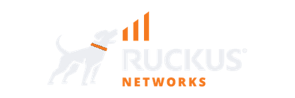 Ruckus Networks